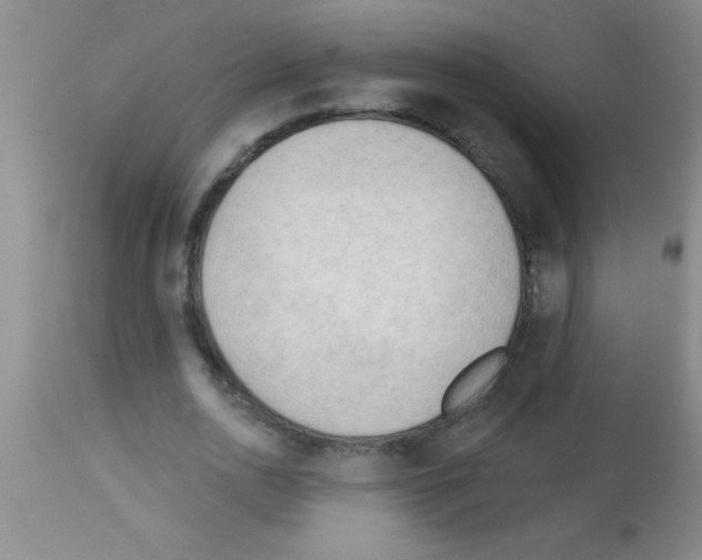 X0000113130726200910161131