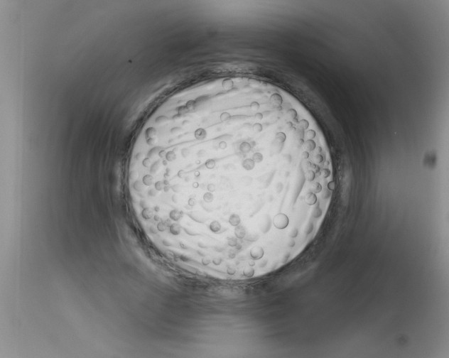 X0000113130729200910161132
