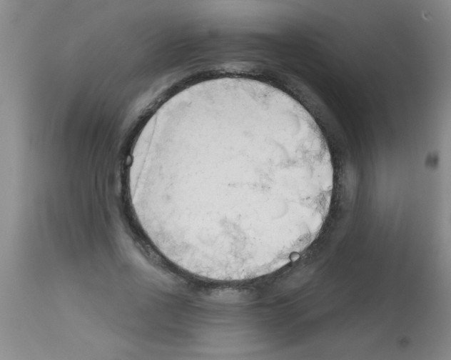 X0000113130734200910161132