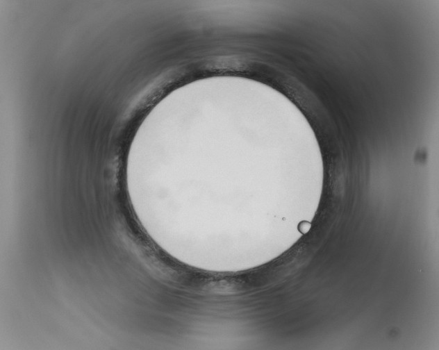 X0000113130735200910161132