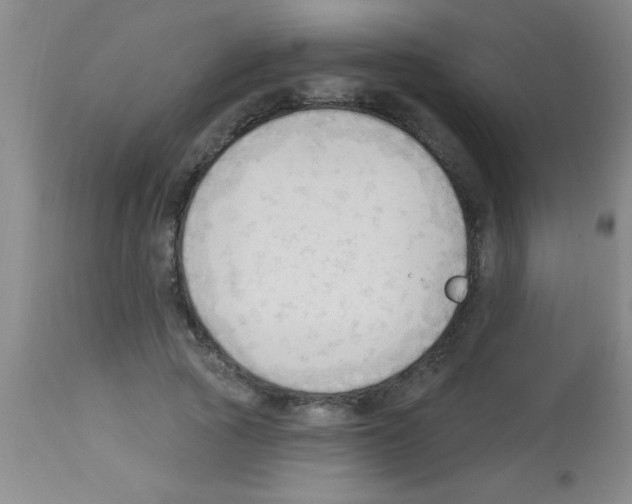 X0000113130737200910161132