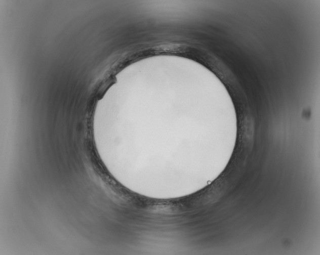 X0000113130738200910161132