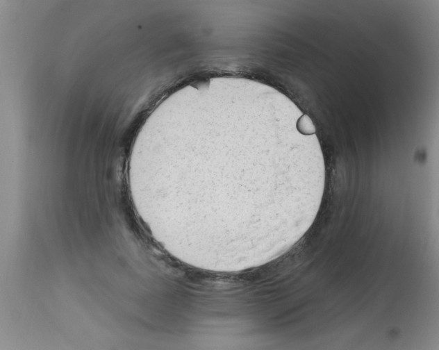 X0000113130739200910161132