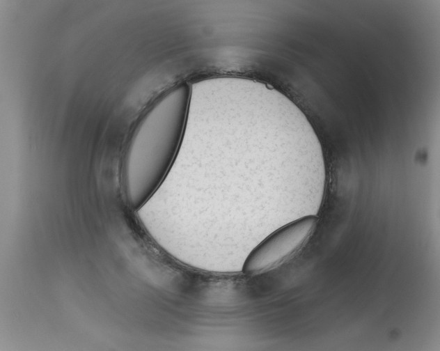 X0000113130740200910161132