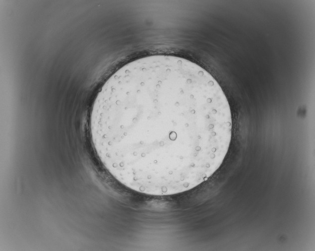 X0000113130742200910161132