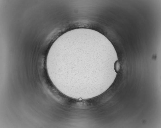 X0000113130744200910161132
