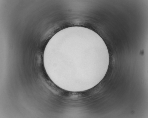 X0000113130746200910161132