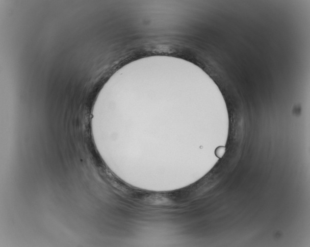 X0000113130747200910161132