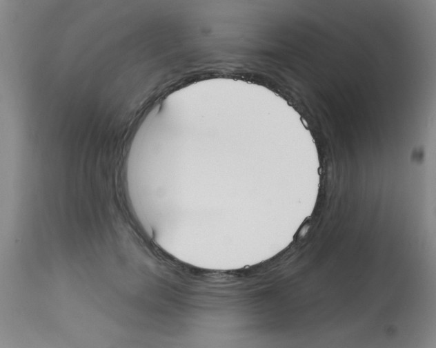 X0000113130750200910161132