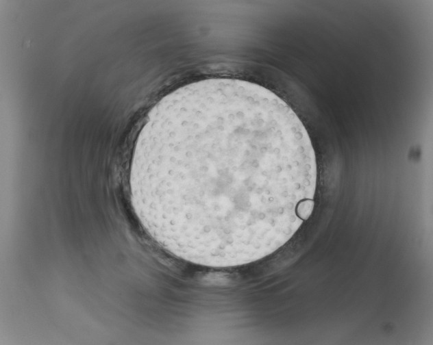 X0000113130751200910161132
