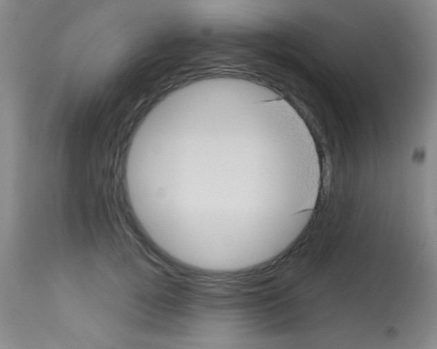 X0000113130752200910161132
