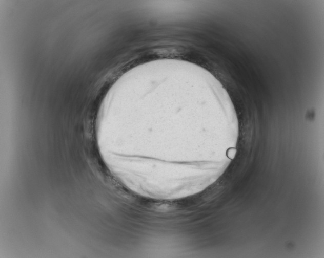 X0000113130755200910161132