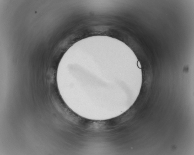 X0000113130758200910161132