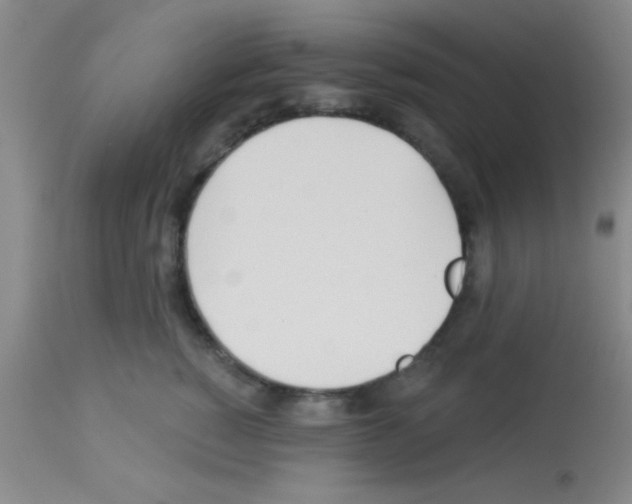 X0000113130760200910161132