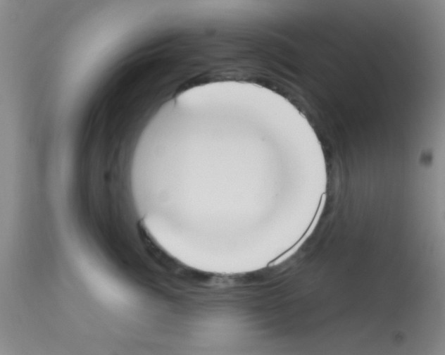 X0000113130764200910161132