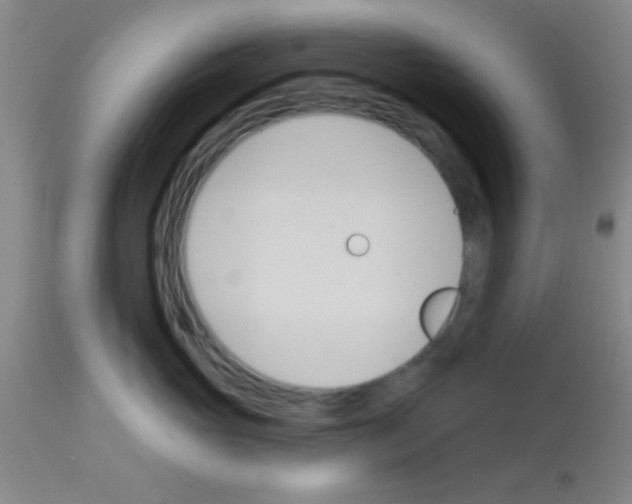 X0000113130765200910161132