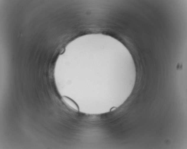 X0000113130768200910161132