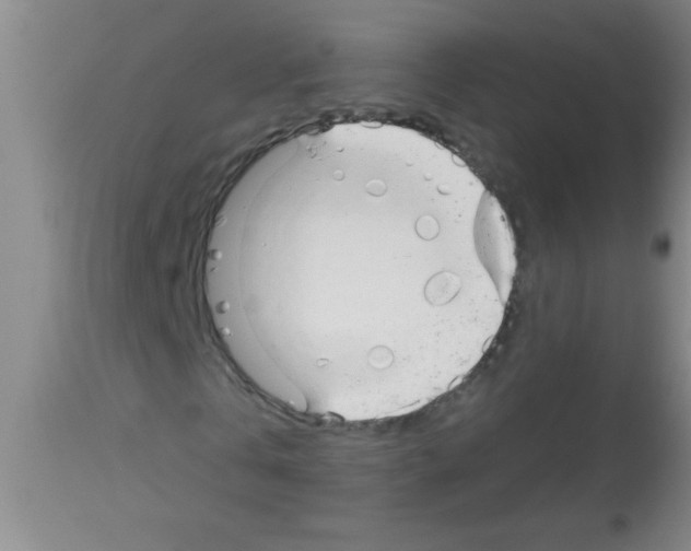 X0000113130769200910161131