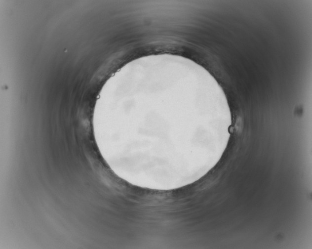 X0000113130771200910161131