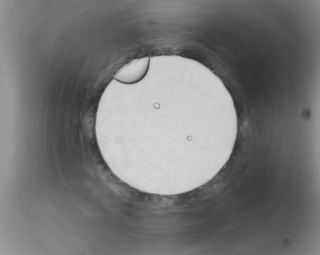 X0000113130772200910161131