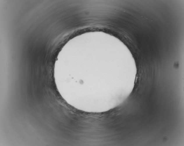 X0000113130773200910161131