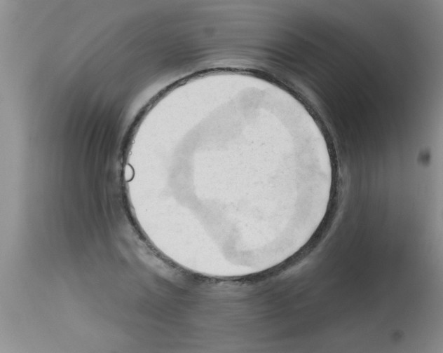 X0000113130779200910161131