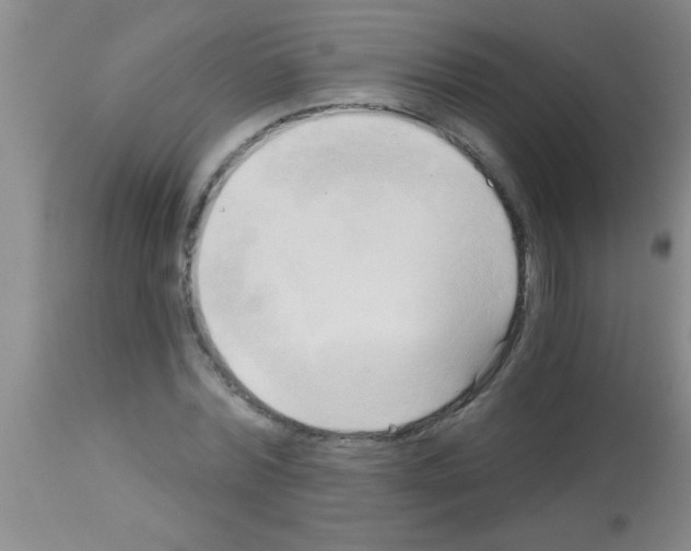 X0000113130780200910161131