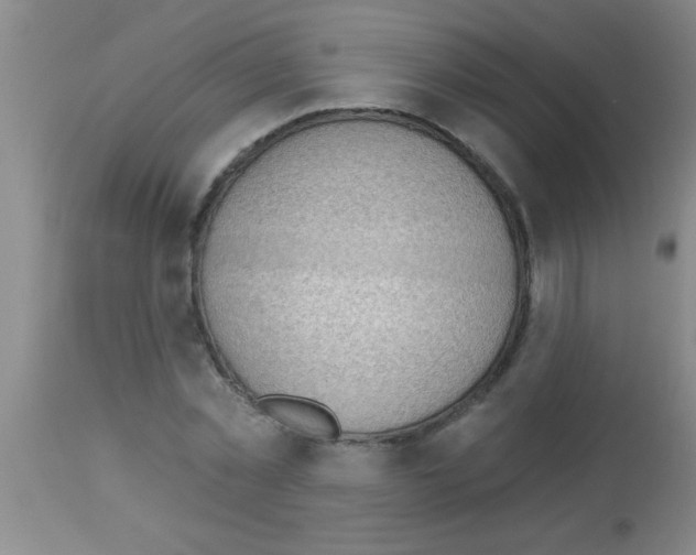 X0000113130781200910161131