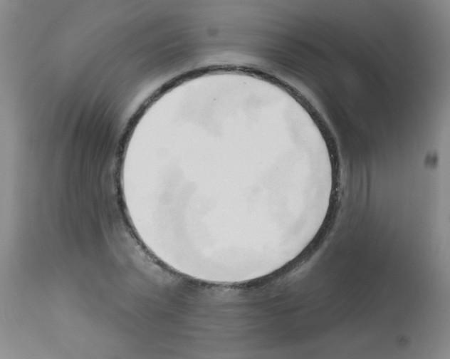 X0000113130783200910161131