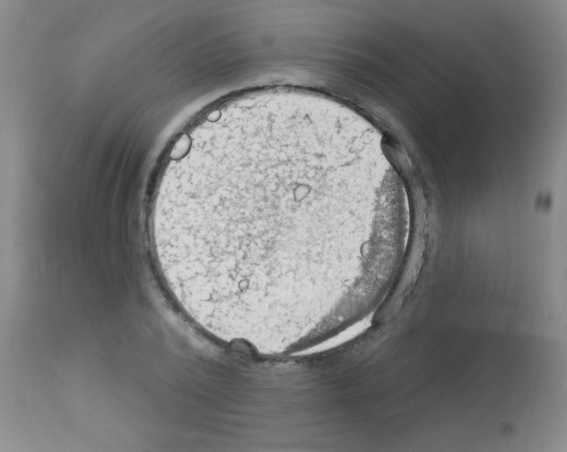 X0000113130784200910161131