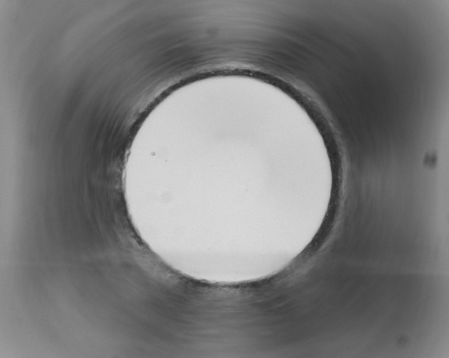 X0000113130785200910161131