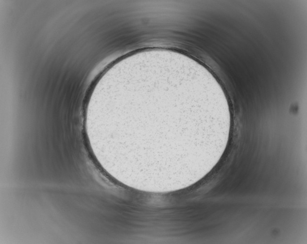 X0000113130787200910161131