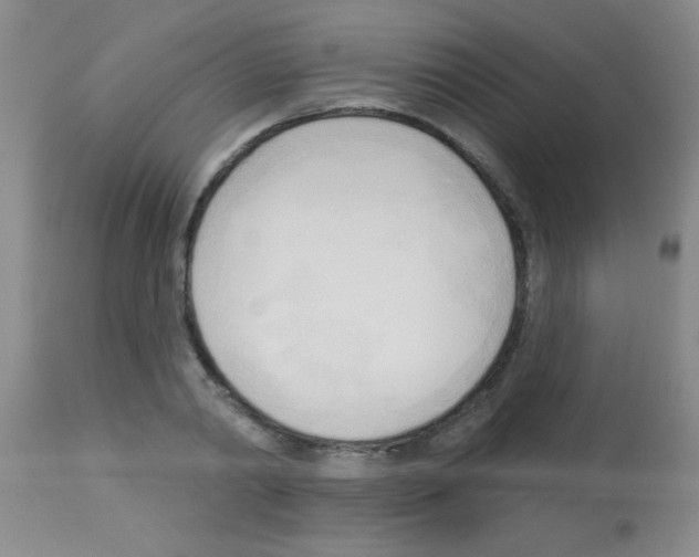 X0000113130790200910161131