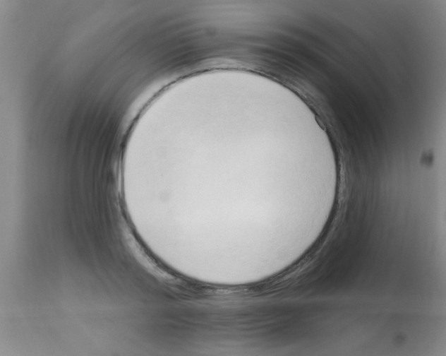 X0000113130796200910161131