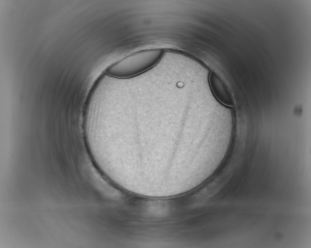 X0000113130797200910161131