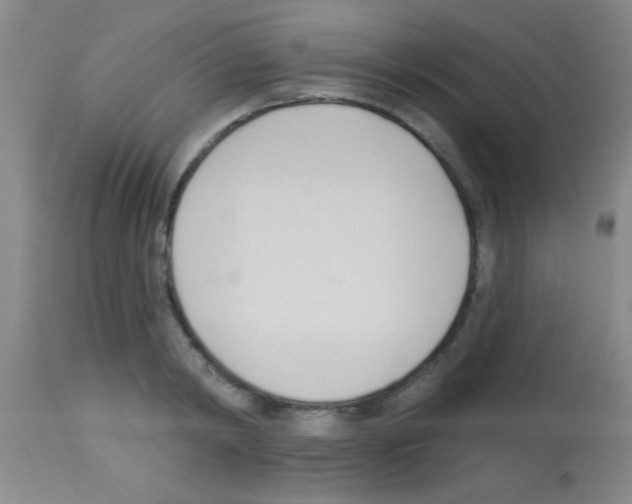 X0000113130798200910161131