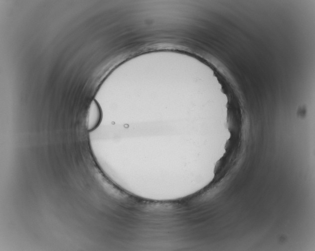 X0000113130801200910161131