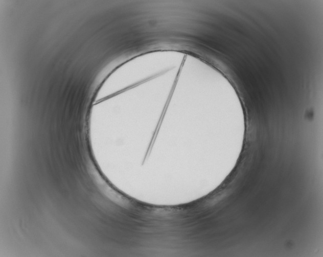 X0000113130803200910161131