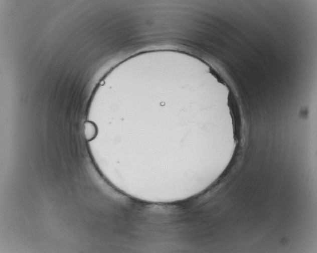 X0000113130805200910161131