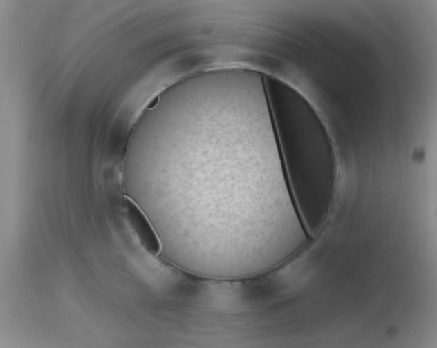 X0000113130809200910161131