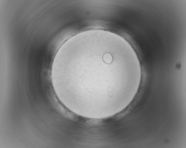 X0000113130810200910161131