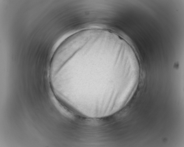 X0000113130811200910161131