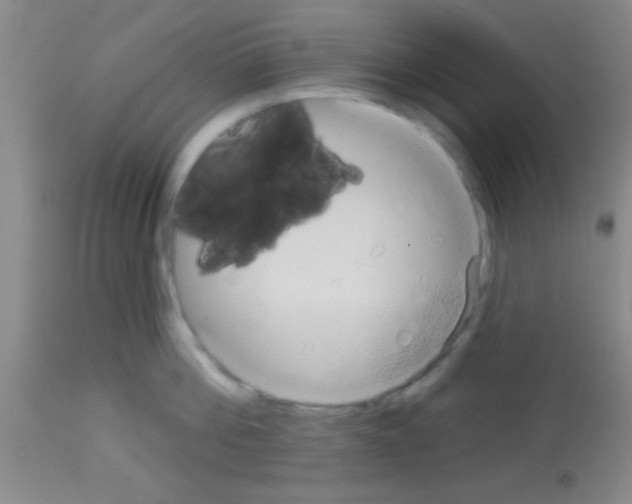 X0000113130812200910161131