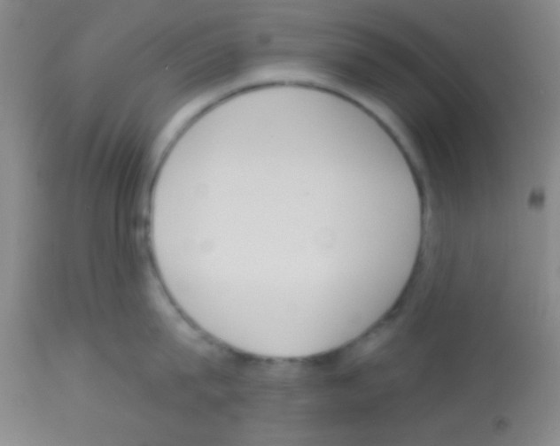 X0000113130815200910161131