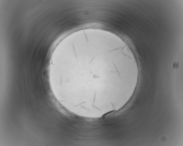 X0000113130816200910161131