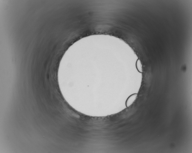 X0000113130817200910161130