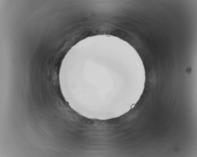 X0000113130818200910161130