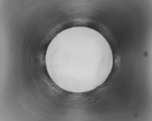 X0000113130819200910161130