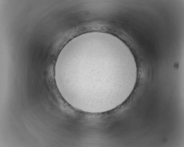 X0000113130820200910161130