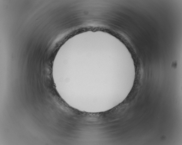 X0000113130823200910161130